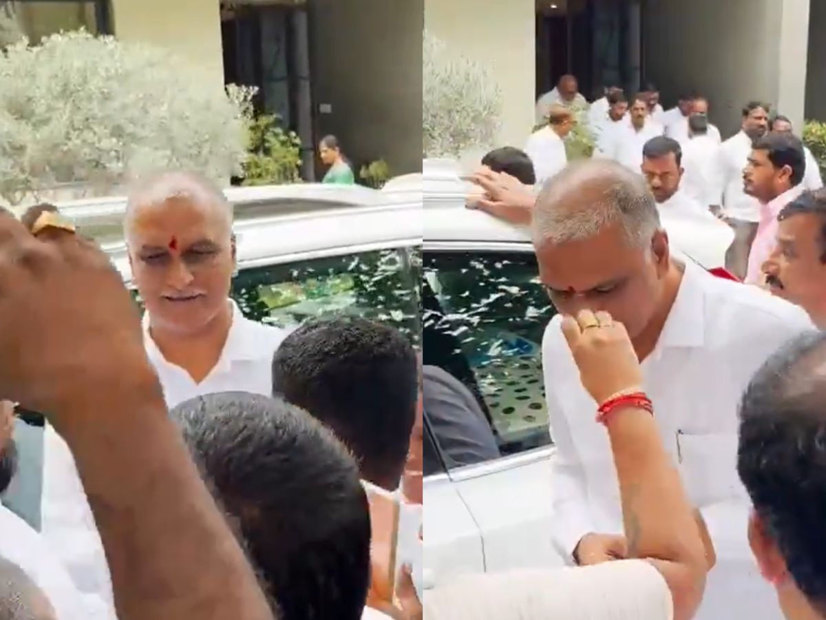 HARISH RAO