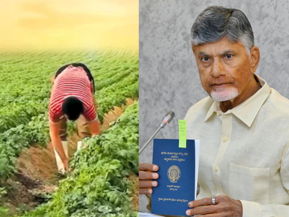 farmer passbook, chandrababu, ap