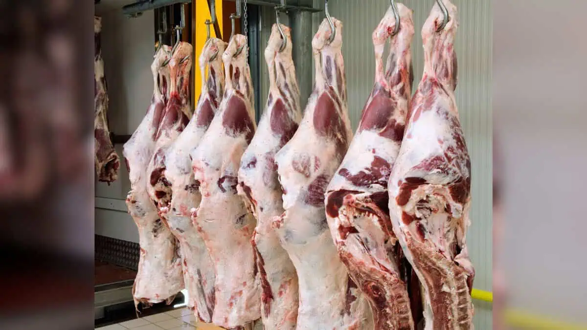 Meat shops to be closed tomorrow and all day
