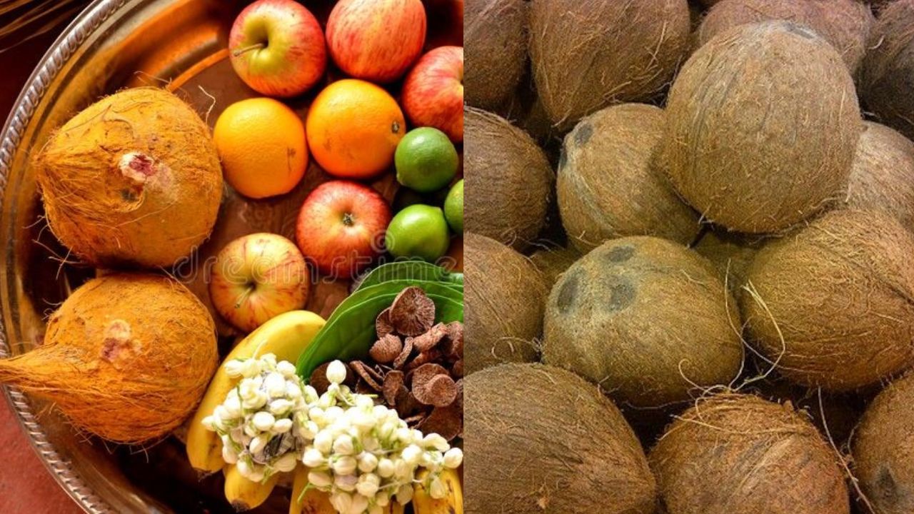 Why Are De-Husked Coconuts Not Used in Pooja?