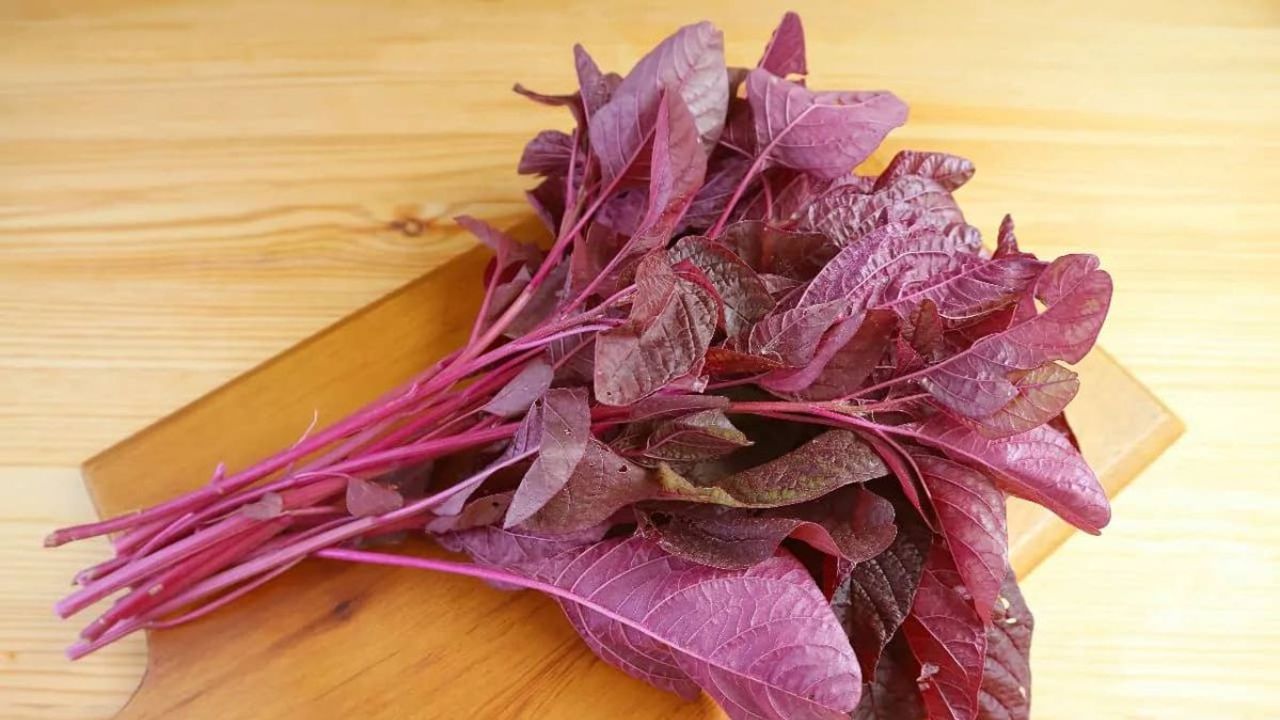 Is One Leafy Veg This Healthy? Amazing Benefits of Red Amaranth!