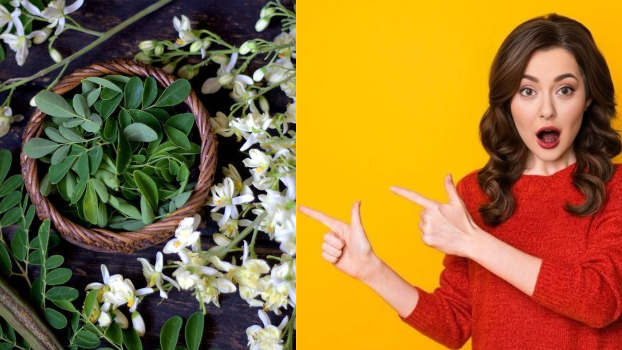 Chewing Moringa Leaves: Do Scientists Really Call It a Superfood?