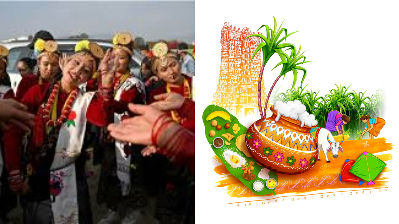 Sankranti in India vs Harvest Festivals Around the World: A Cultural Journey