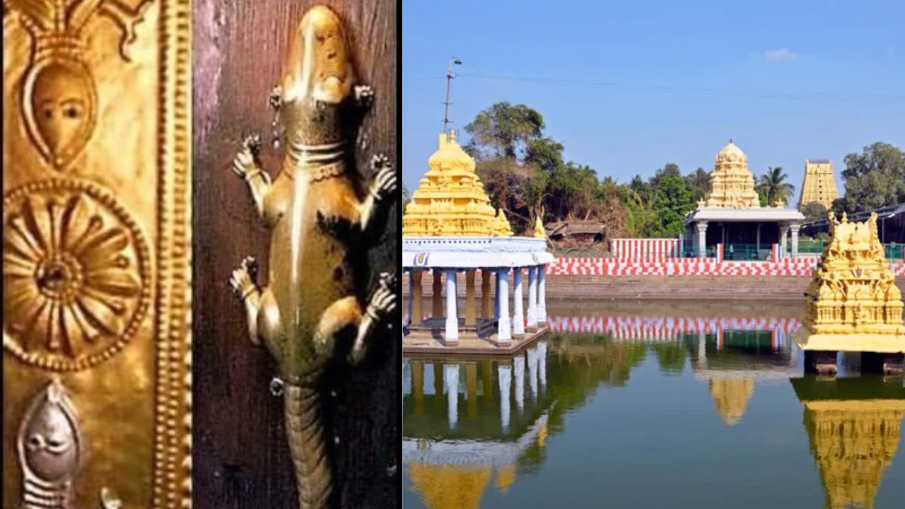Kanchi Golden Lizards: Where Ancient Faith Meets Scientific Truth