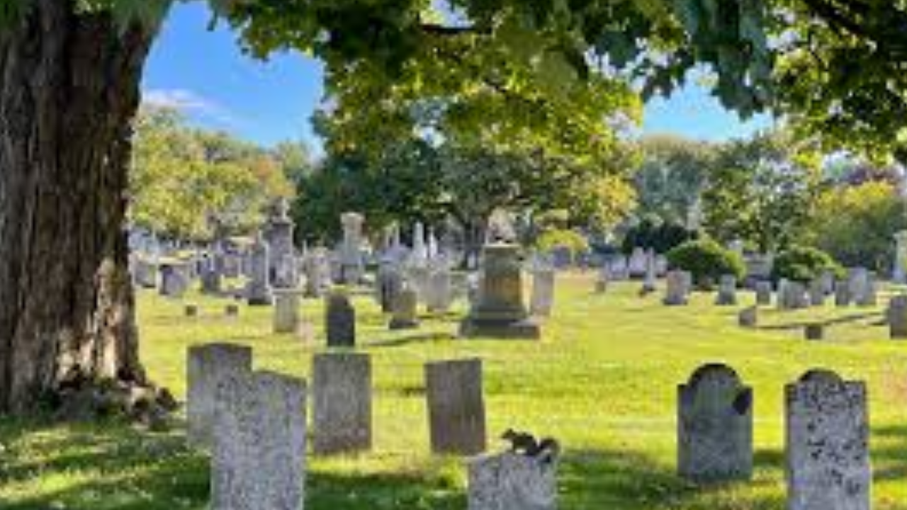Life Around Cemeteries: Superstitions or Scientific Reality?