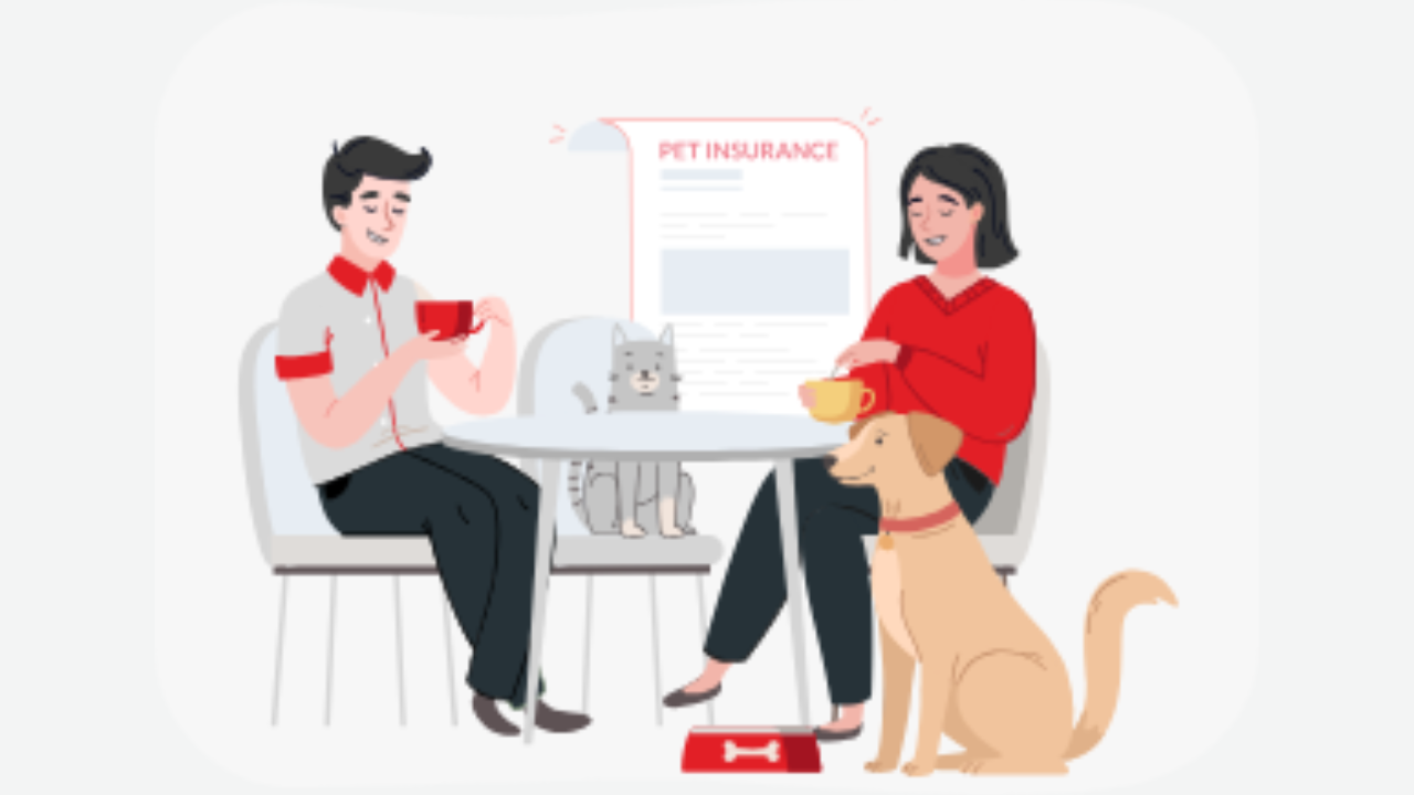 Pet Insurance Explained: Why Your Pets Need Protection Too