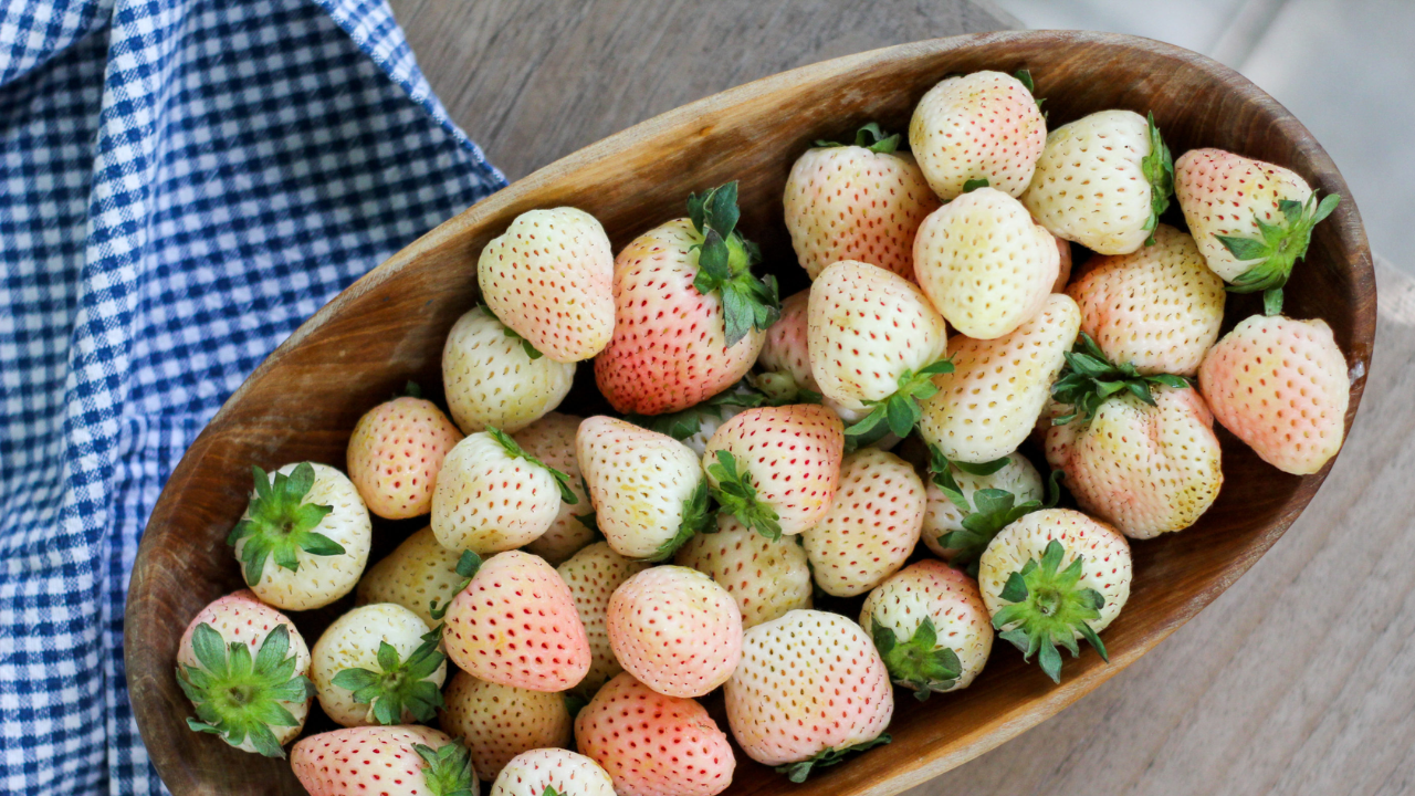 Exotic Pineberry Fruit Gains Popularity Among Indian Farmers
