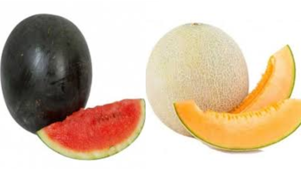 Best Summer Fruits for Cooling the Body and Instant Energy