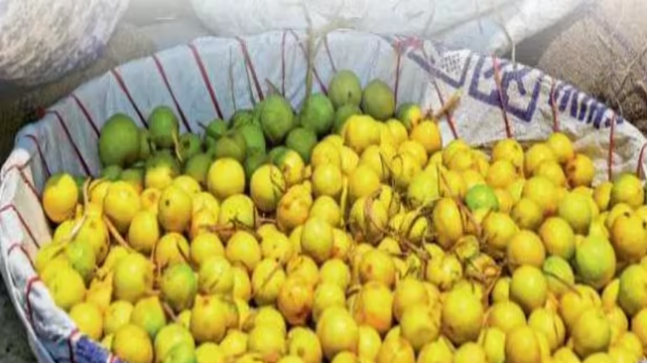 guntur the lemon capital of india andhra pradesh pride