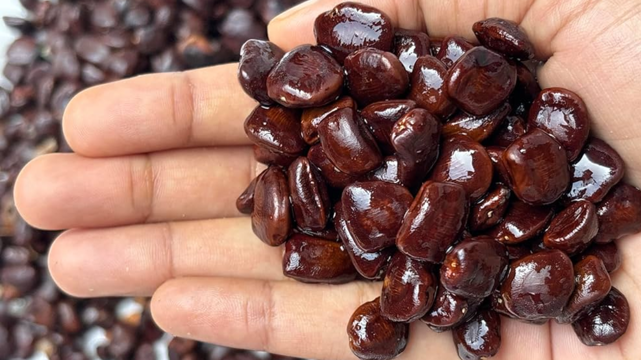 New Study on Tamarind Seeds – But Not a Cure for Body Plastics Yet!