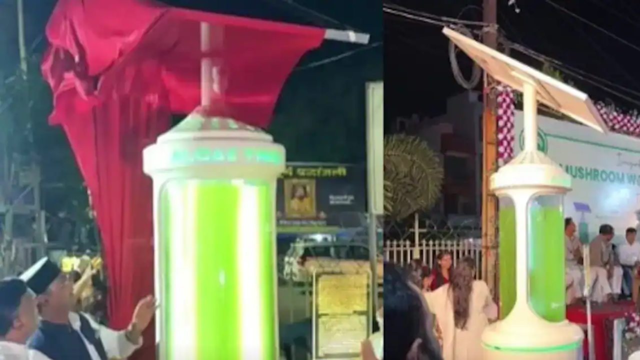 One Device, Power of 25 Trees!.. Algae Tree Fighting Pollution!