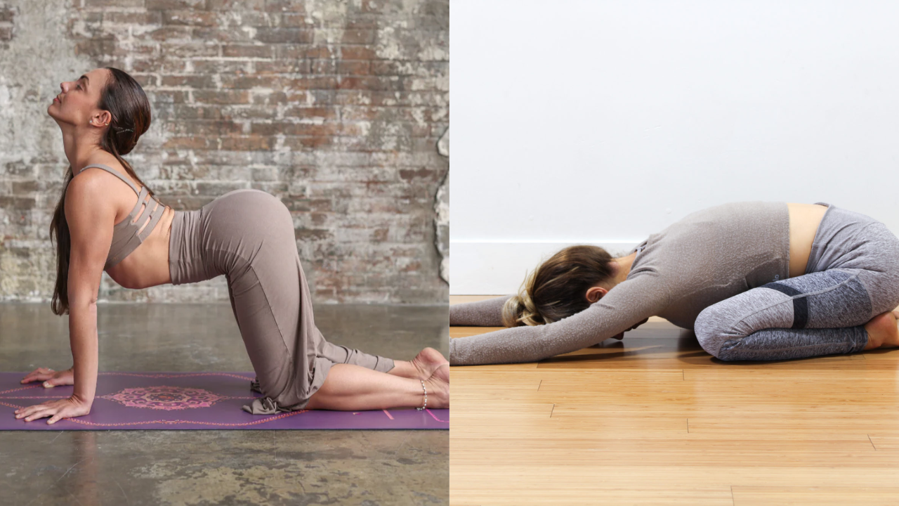 Feeling Stressed? Try This Stretching Routine for Instant Relief!