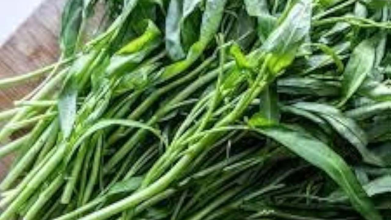 Shocking Benefits Do You Know About This Leafy Green?