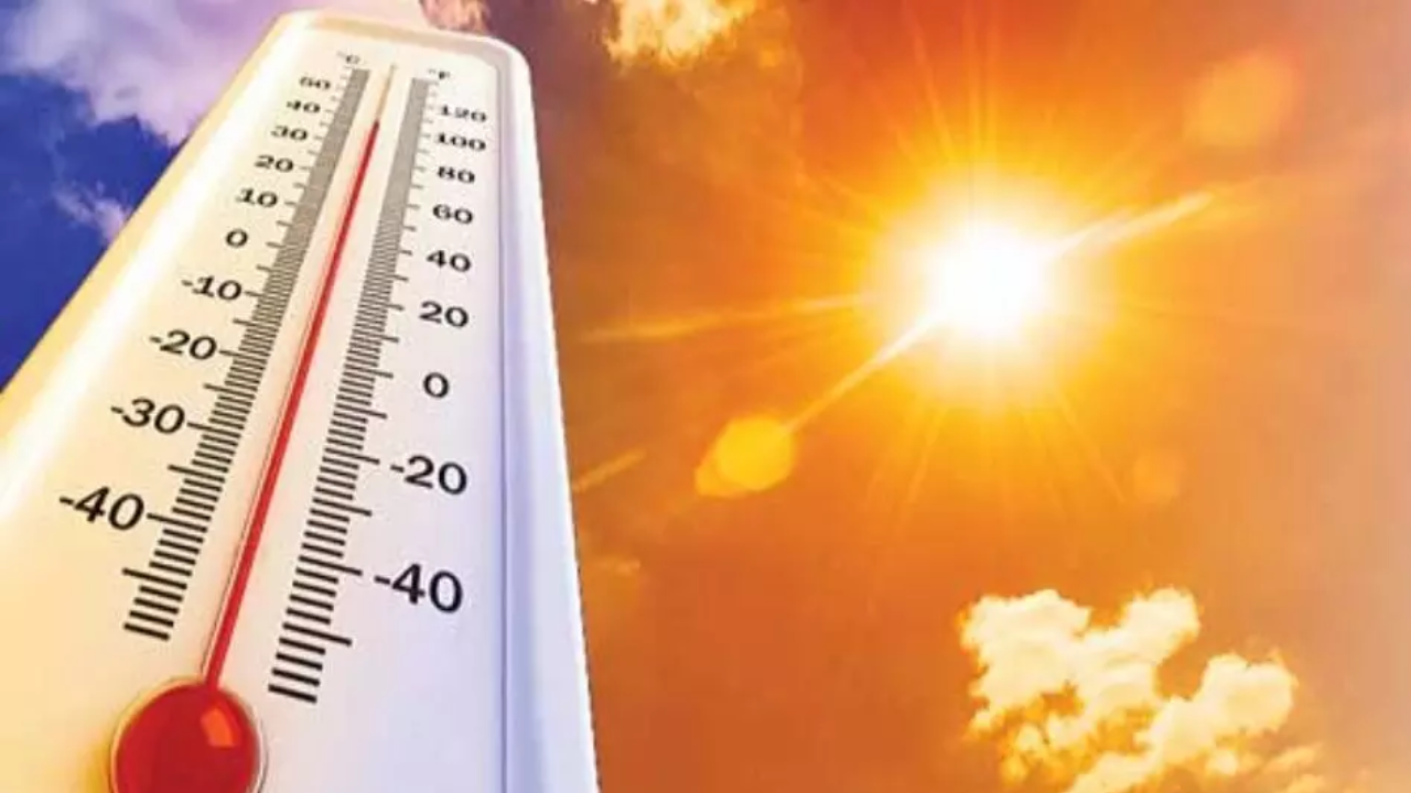 Summer Alert Essential Health Tips for People Working Outdoors