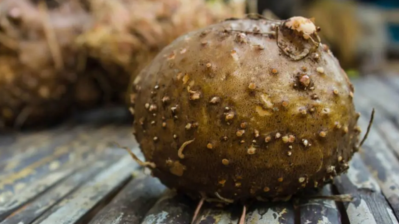 How Konjac Glucomannan Helps in Weight Loss and Blood Sugar Control