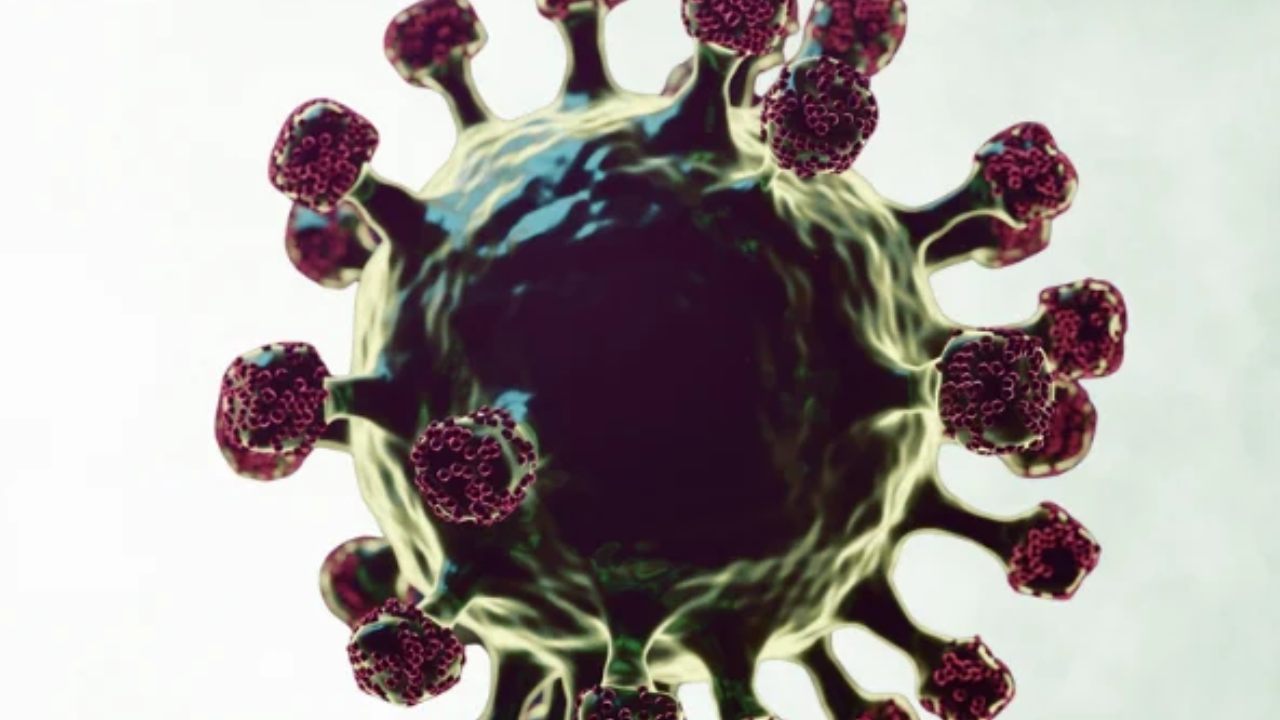 Ebola Alert! New Guidelines for People Arriving from Overseas