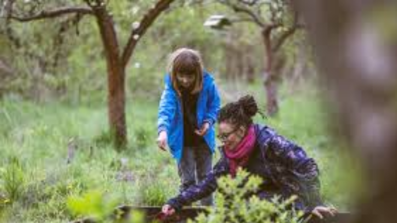 Just 20 Minutes in Nature Daily Can Transform Your Health