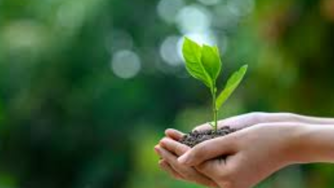 “World Environment Day 2026 – It’s Time to Save Our Planet”