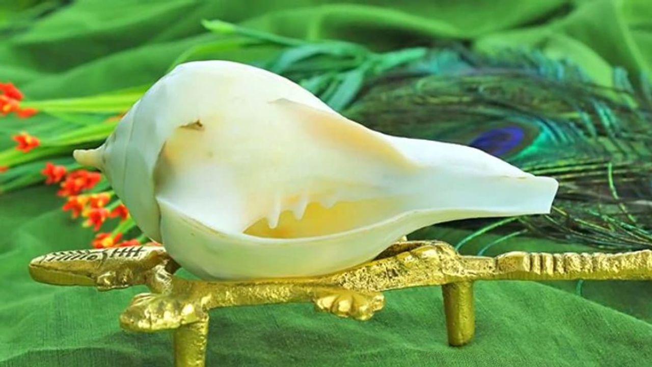 Blowing a Conch at Home: Spiritual Significance and Surprising Benefits