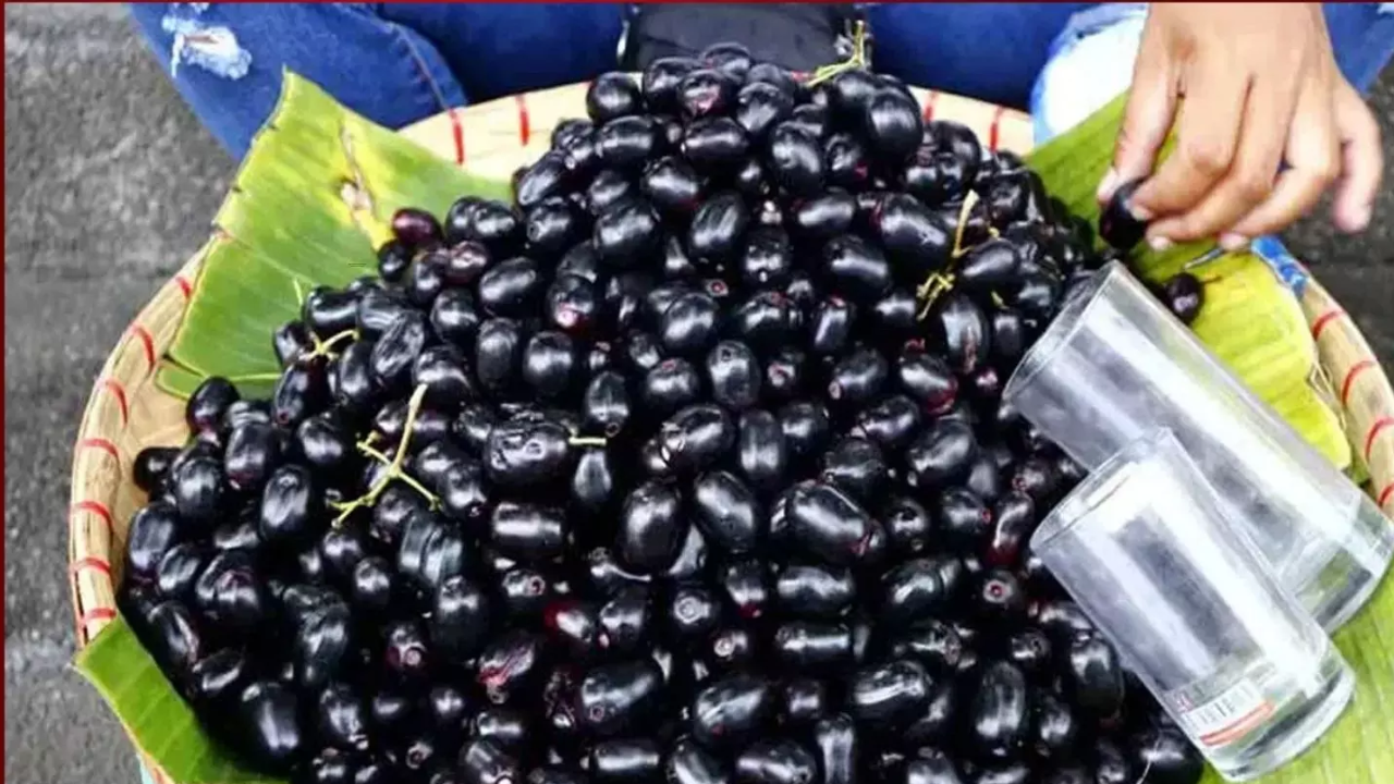Just 10 Jamun Fruits a Day: Amazing Benefits for Your Health