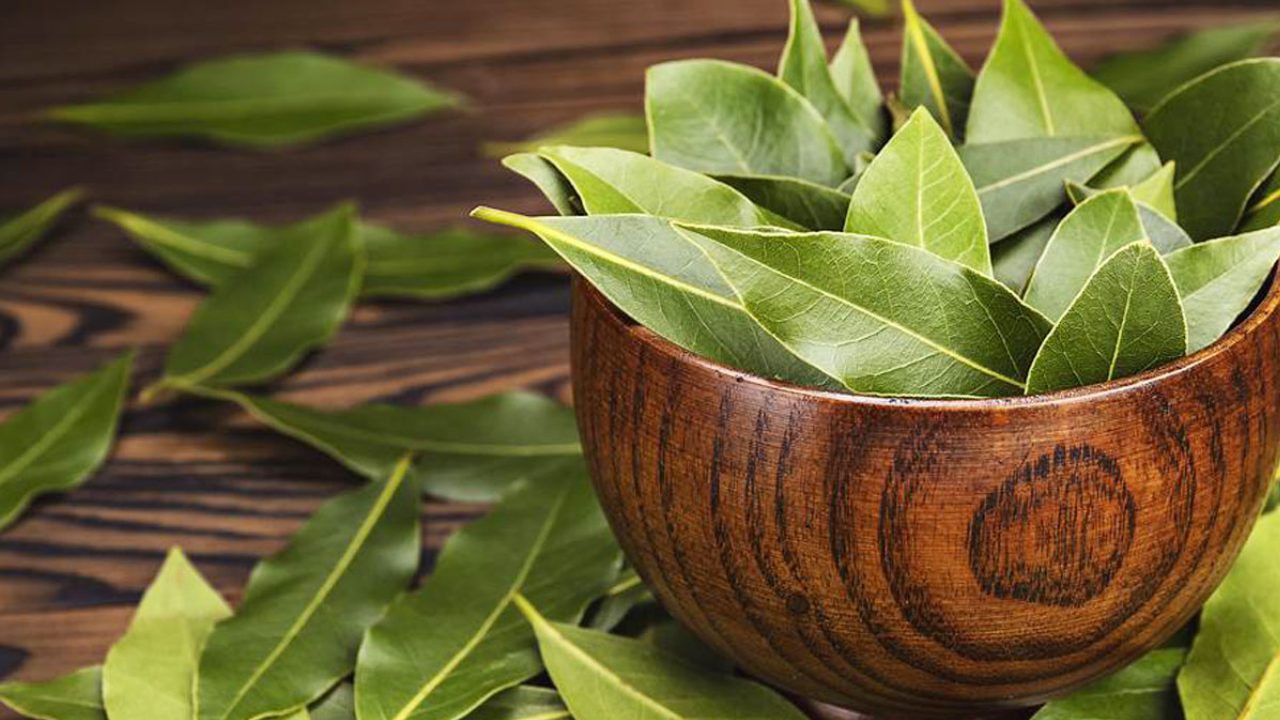 Bay Leaf Tea: A Powerful Natural Remedy, But Not for Everyone!