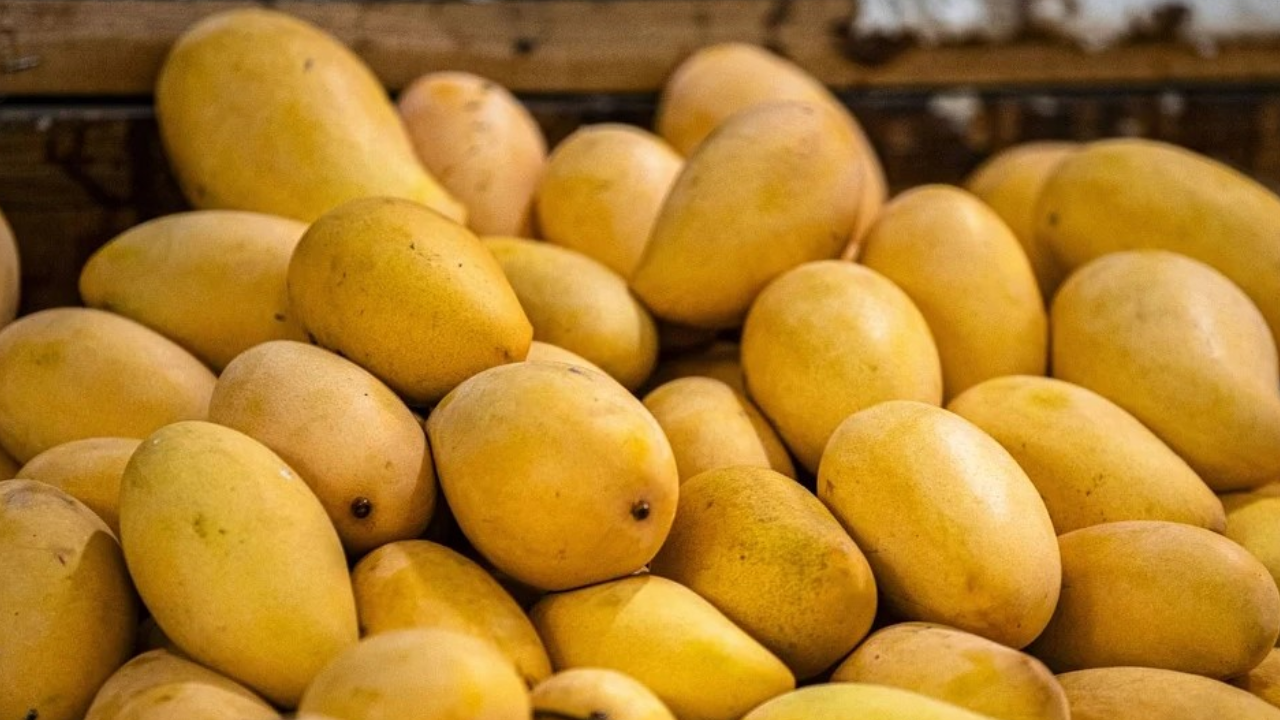 Morning Mango Habit: The Hidden Side Effects You Should Know About