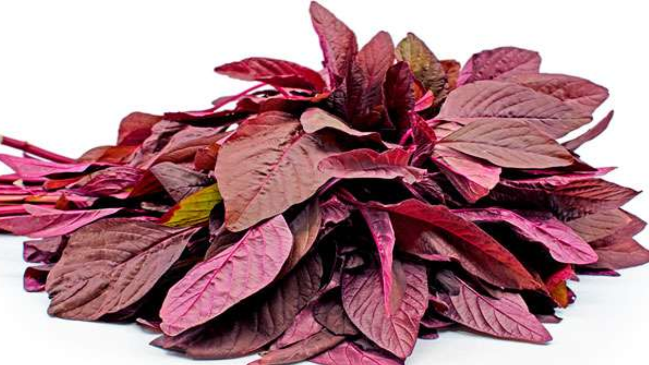 Amazing Health Benefits If You Eat This Leafy Green Every Day!