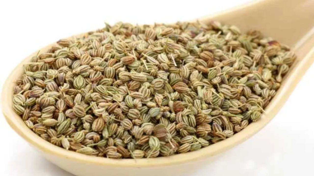 Small Seed, Big Power: Amazing Benefits of Ajwain You Should Know