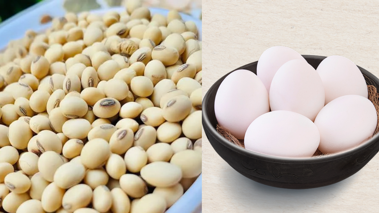 Gym Diet Confusion Cleared! Here's the Real Protein Winner
