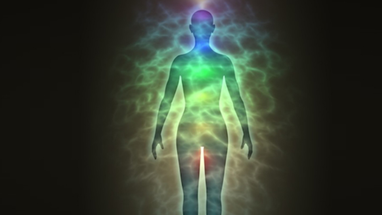 Mind-Blowing Facts About the Human Body You Probably Never Knew