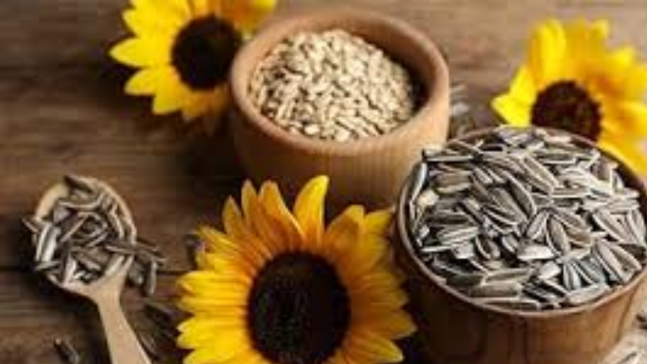 Sunflower Seeds Every Day: Surprising Benefits for Your Body