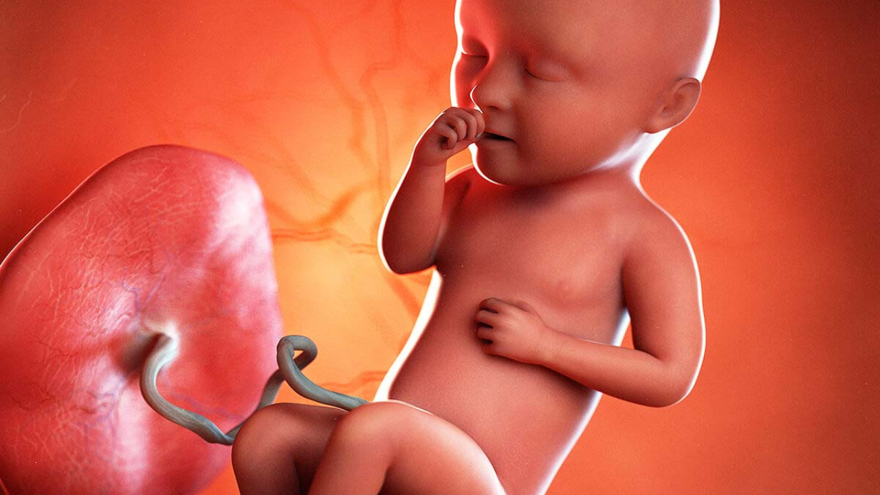 How Does an Unborn Baby Pray to God? A Fascinating Story from the Puranas
