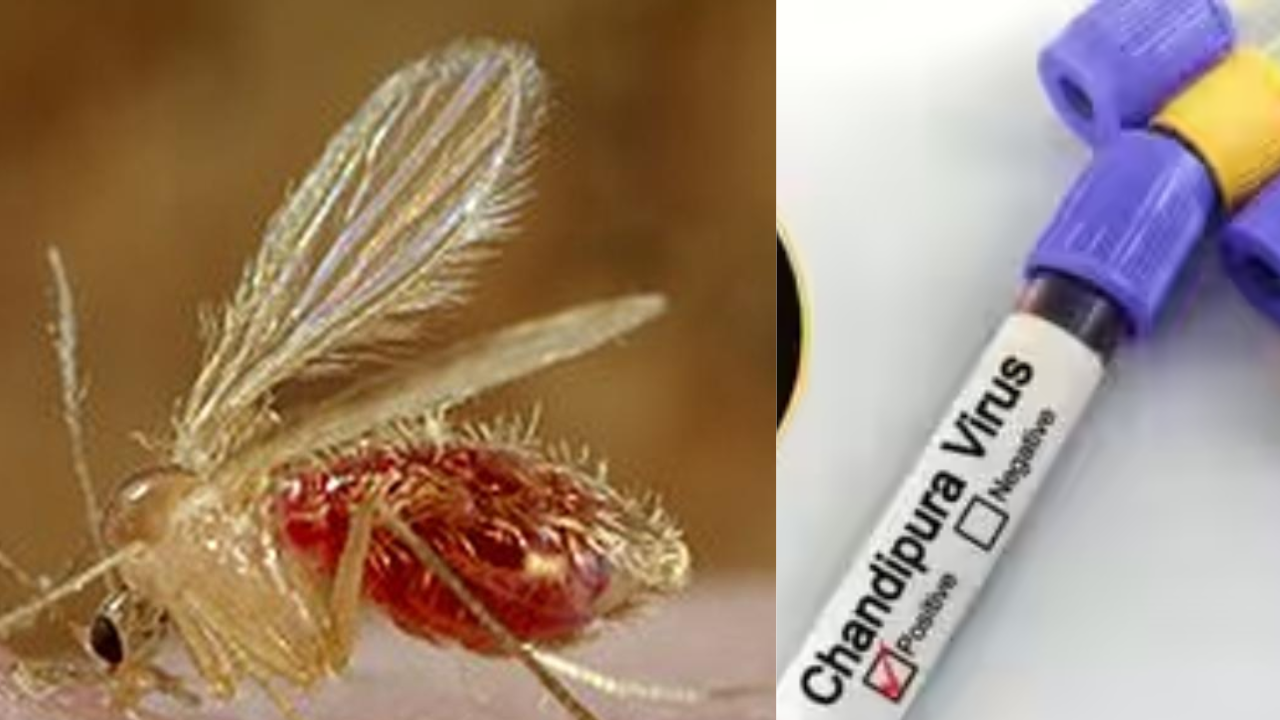 Gujarat Reports Chandipura Virus Cases, Health Officials Issue Alert