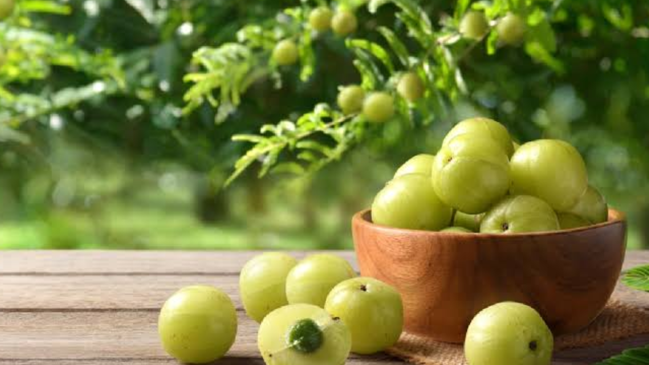 Daily Amla Benefits: How It May Boost Your Immunity
