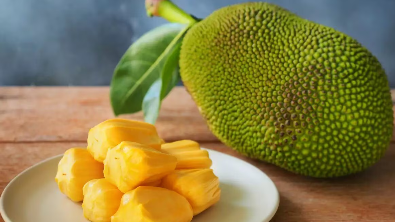 jackfruit, energyboost, muscles, nerves, nutrition