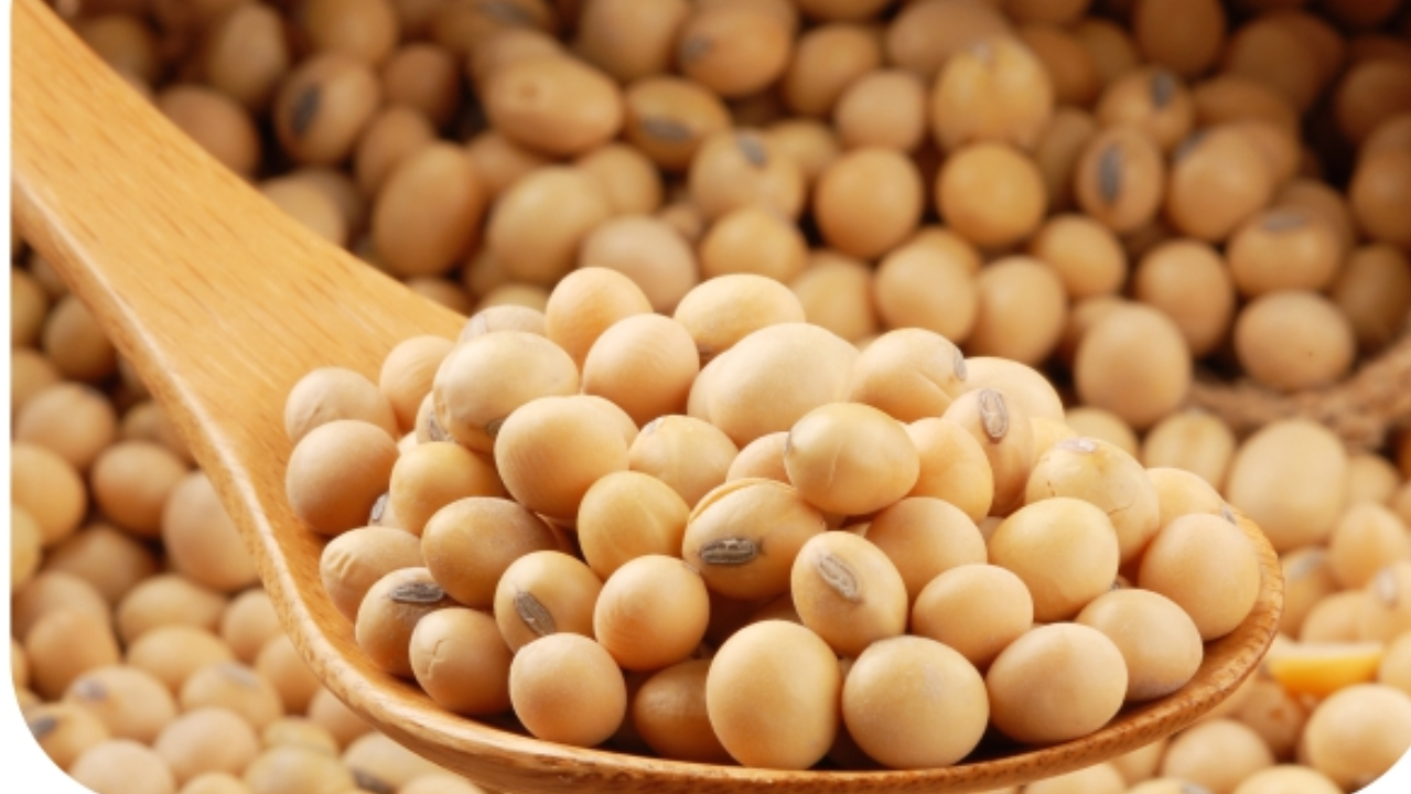 Soybeans for Daily Protein Needs: Expert Tips on How Much to Eat