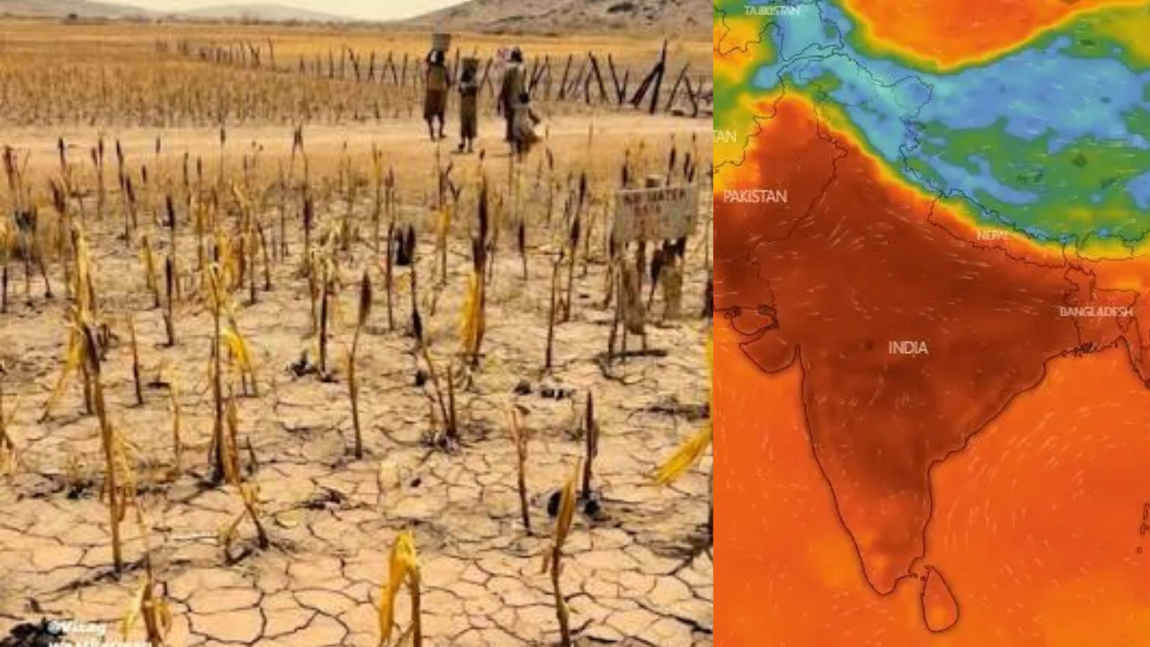 Super El Niño Alert: Could the Upcoming Winter Be Warmer Than Usual?